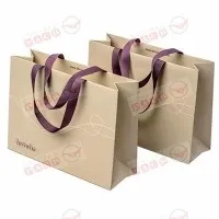 Pungi de hârtie de lux